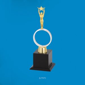 Personalized Corporate achievement Award Trophy