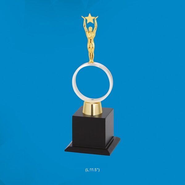 Personalized Corporate achievement Award Trophy