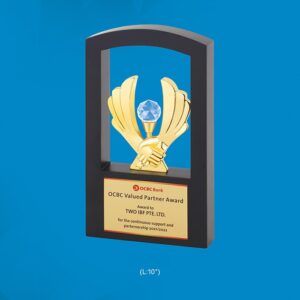 Valued Partner Award Trophy