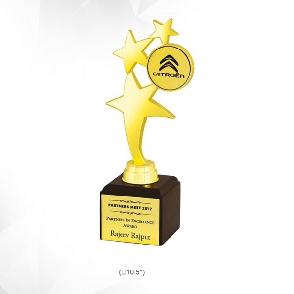 Customized Golden Star Performance Trophy