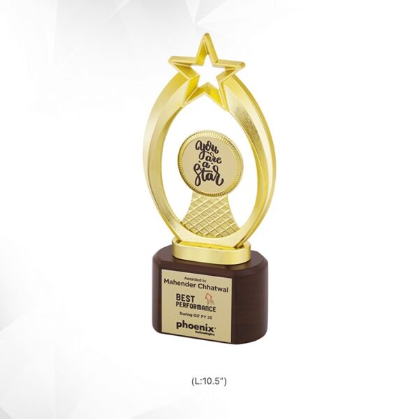 Customized Golden Star Performance Trophy